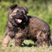WG Photographies-19