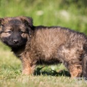 WG Photographies-3