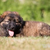 WG Photographies-33