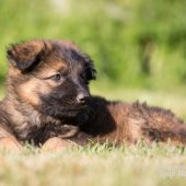 WG Photographies-38