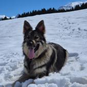 Taïna 