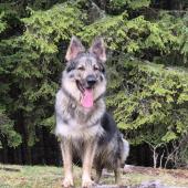 Taïna 