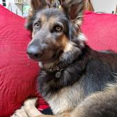 Louna 