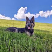 Louna 