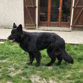 Umbra