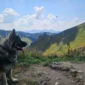 Ubaye
