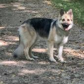 Anouk