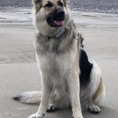 Anouk