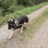 Maïkan