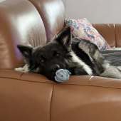 Valto