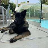 Vanko