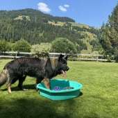 Vanko