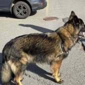 Vanko