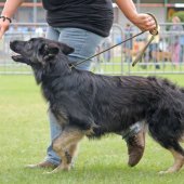img_4023