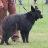 img_4095
