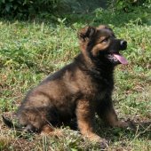 img_1418_edited-custom