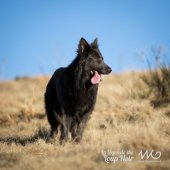 WG Photographies 2016-24