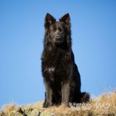 WG Photographies 2016-74
