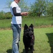 ne-boersch-2014-552