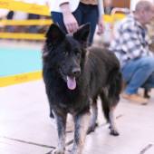 589439425_1156164086657260_1565667372615978525_n