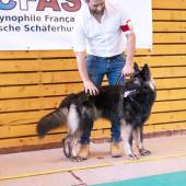 589597936_1156163926657276_7267299723856424429_n