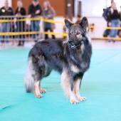 589600563_1156159526657716_5884139067131851793_n