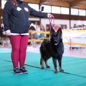 589718685_1156159363324399_2555882647309721226_n