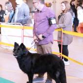 590726082_1156159403324395_5973429047798565696_n