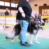 590734235_1156164043323931_6361585900023977596_n