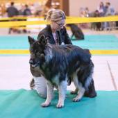 590750658_1156158749991127_5272662911042804436_n