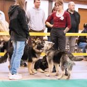 590751171_1156157703324565_1096823244728584958_n