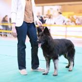 590822208_1156159629991039_793044968091977783_n