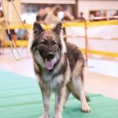 590852172_1156157333324602_2924680305404792805_n