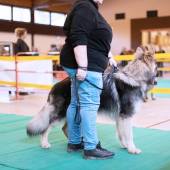 590876713_1156159479991054_8772267344836508127_n