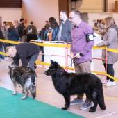 591140672_1156157069991295_4351645259053071080_n