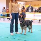 591245480_1156158786657790_6181738870769636304_n