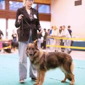 591268758_1156158353324500_4350319346542989116_n