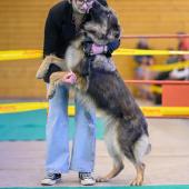 592000051_1159760946297574_81628653511694072_n