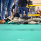 592162227_1159747739632228_6133509075790861071_n