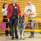 592167042_1159761882964147_3071814763563096908_n