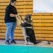 592275007_1159755156298153_8631199880982879134_n