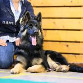 592382638_1159753159631686_147057771781135064_n