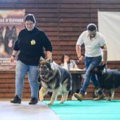 592396236_1159754899631512_2313288748735053458_n