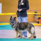 592908654_1159760856297583_1729410311363754528_n