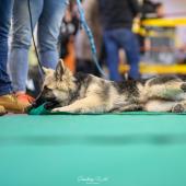 592911510_1159747716298897_5595218354677463494_n