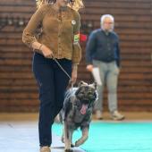 592974718_1159754752964860_2419073675832593228_n