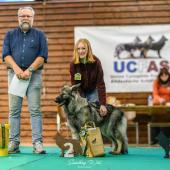 593263719_1159761592964176_2412809880792651986_n