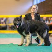 593265570_1159761502964185_4356259159820826737_n