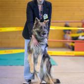 593290550_1159761016297567_4879527361155016983_n