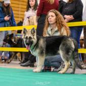 593305304_1159747212965614_5784007163151305178_n